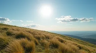 Choosing the Right Location for Your Weather Station: Maximizing Data Accuracy