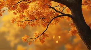 Seasonal Weather Patterns: What to Expect and How to Prepare
