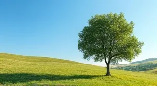 Understanding Basic Weather Instruments: A Beginner's Guide