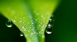Understanding Basic Weather Sensors: Thermometers, Hygrometers, and Rain Gauges